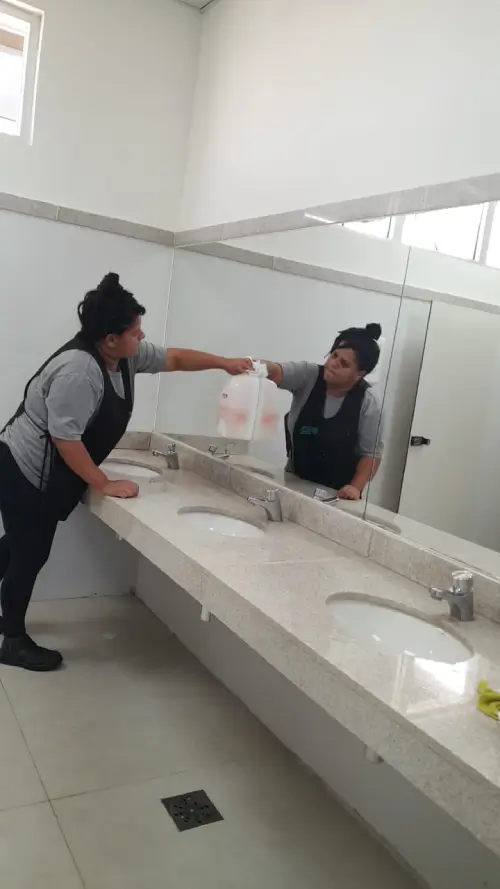 Limpeza Profissional